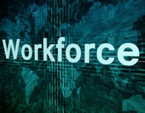 Dispersed Workforce Environment