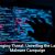 Areas Where Small Businesses Are Vulnerable to Cyber Hacks